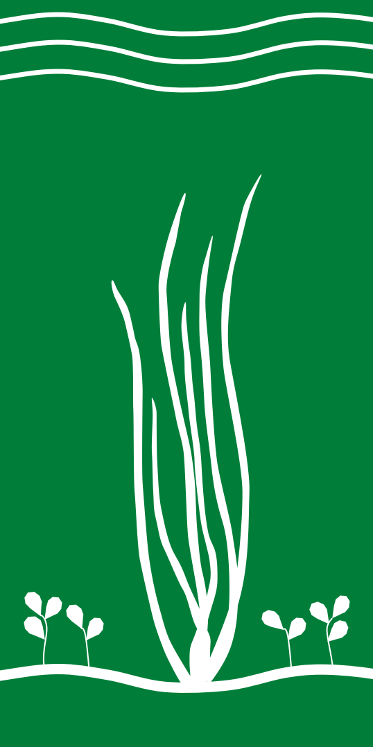 SAV Community of Practice Logo
